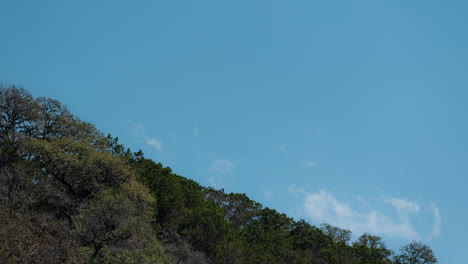 Whispy clouds Timelapse moving over a tree covered hillside on a clear day