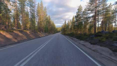 Morning-light-POV:-Sunrise-driving-through-northern-evergreen-forest