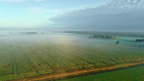 Niebla-Baja-En-Campos-De-Cultivo---Vista-Aérea-Ascendente