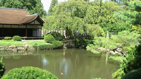 Un-Estanque-Koi-Frente-A-Una-Casa-Japonesa