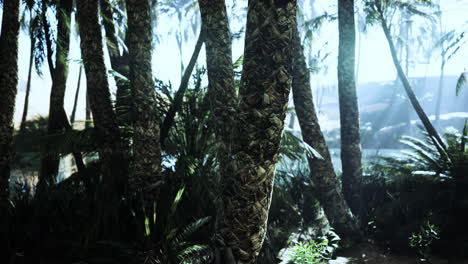 El-Sendero-Del-Oasis-De-Palmeras-Es-Una-De-Las-Muchas-Caminatas-Populares-En-El-Parque-Nacional