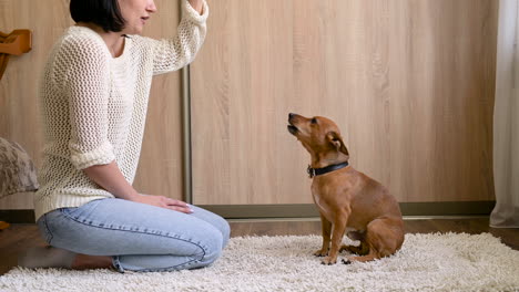 brunette woman kneeling on the carpet in the living room at home