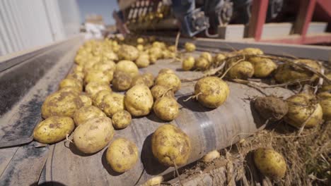 storage in the potato factory. slow motion.