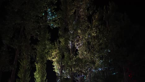 A-captivating-image-of-tall-trees-illuminated-at-night