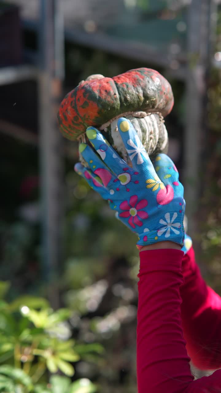 Donna che tiene una zucca con guanti da giardinaggio