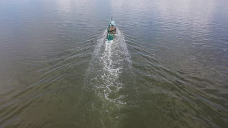arrastrero perseguido por pelícanos, aves marinas y gaviotas en busca de un obsequio