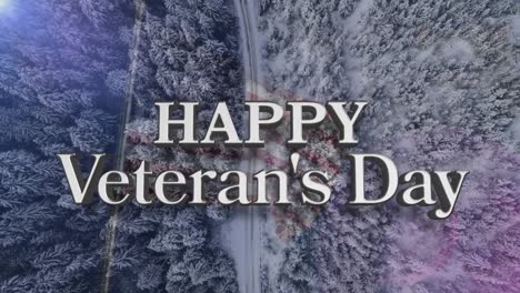 Feliz-Día-De-Los-Veteranos-Texto-Sobre-La-Bandera-Americana-Contra-La-Vista-Aérea-Del-Paisaje-Con-árboles