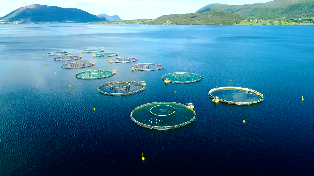 노르웨이에서 연어  ⁇ 시를 하는 공중 촬영