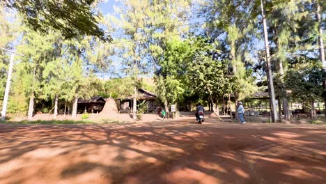 visitors enjoy a sunny day outdoors