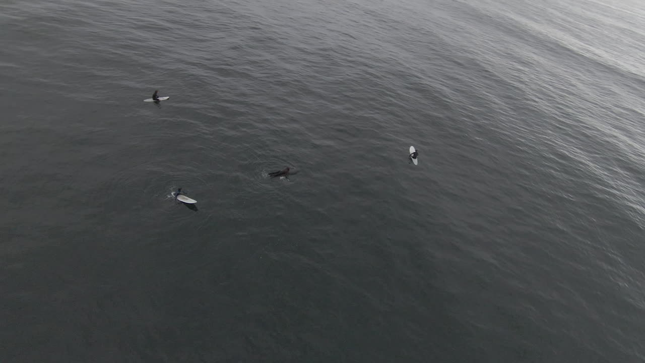 파도를 타는 서퍼들