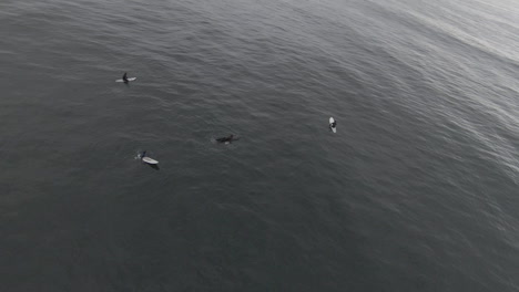 surfers riding waves