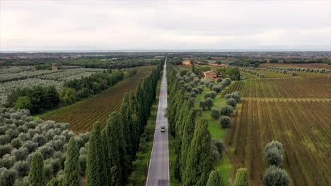 Autofahren-Zwischen-Zypressen-Und-Weinbergen