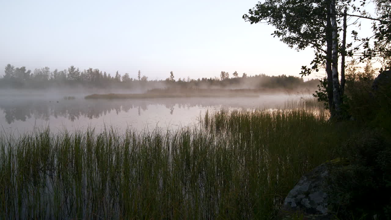 영화 같은 풍경, 추운 겨울 아침에 습지대 늪 위로 떠도는 연무