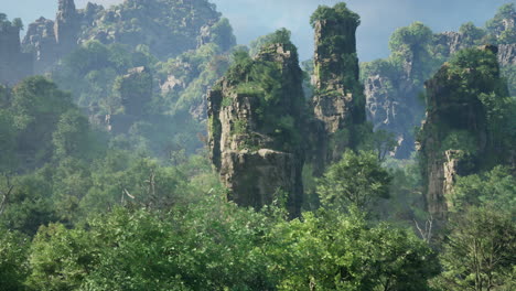 lush forest with tall rock formations