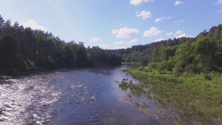 Three Brothers Stones in the Neris River on a Sunny Summer Day-1