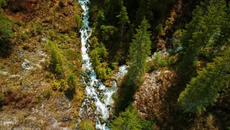 Bucle-De-Vídeo-Continuo-De-Cinemagrafía-Aérea-De-Dos-Ríos-De-Cañón-De-Montaña-Vívidos-E-Idílicos-Que-Se-Unen-En-Elmau-Con-Agua-Azul-Fresca-En-Los-Alpes-Austriacos-Bávaros,-Fluyendo-Por-Un-Lecho-Natural-A-Lo-Largo-De-Los-árboles