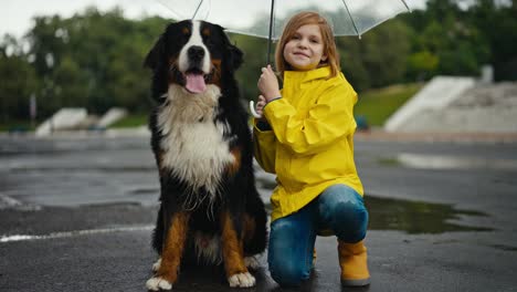 Portrait-of-a-blonde-teenage-girl-in-a-yellow-jacket-with-her-large-purebred-black-and-white-dog-during-a-light-rain-in-the-park