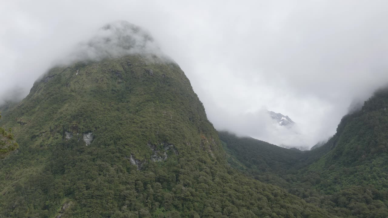 picos de montaña y bosque entre nubes en fiordland, nueva zelanda