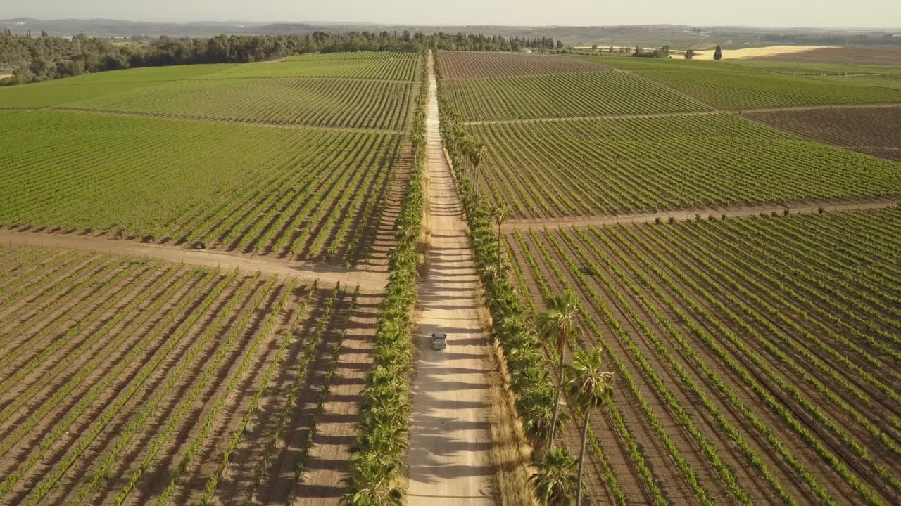 Percorso panoramico attraverso un paesaggio viticolo