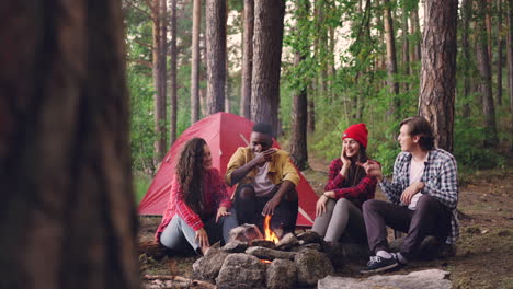 friends camping in the woods