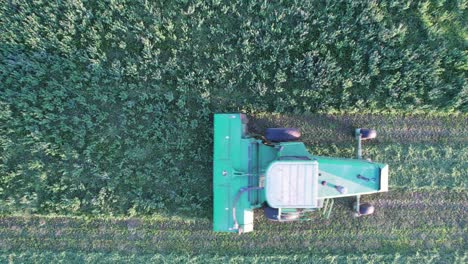 In-Door-County,-WI,-a-farmer-on-a-John-Deere-tractor,-cuts-his-alfalfa-field-in-late-August-3