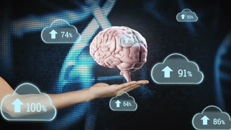 holding brain hologram, human hand with cloud data and percentage icons animation