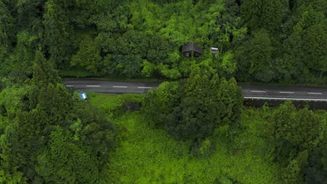 aerial top down drone shot, mountain road between trees in saijo, ehime japan