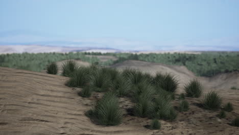 mohave desert landscape with blue cloudy skies