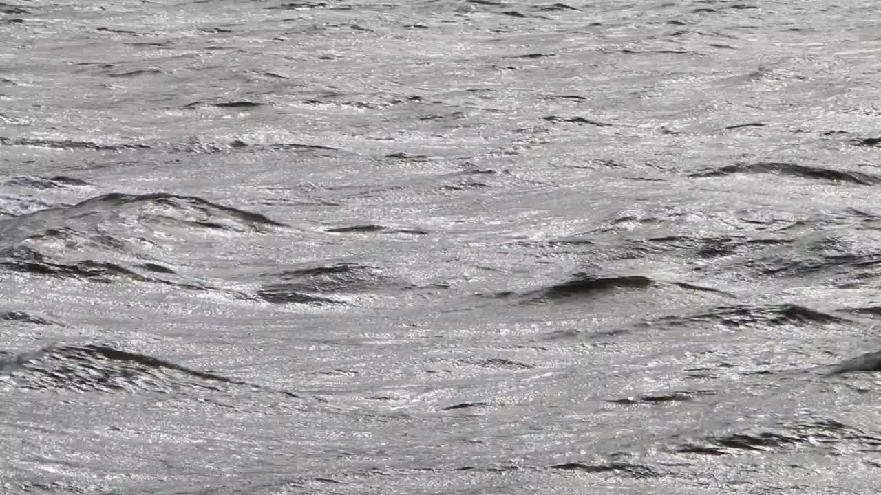 Reflections on wavy sea. Wadden Sea. Netherlands