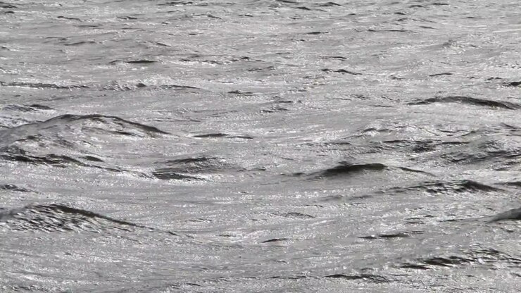 Reflections on wavy sea. Wadden Sea. Netherlands