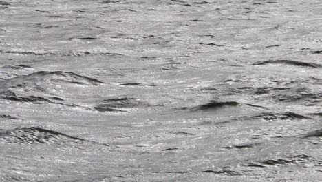 Reflections-on-wavy-sea.-Wadden-Sea.-Netherlands