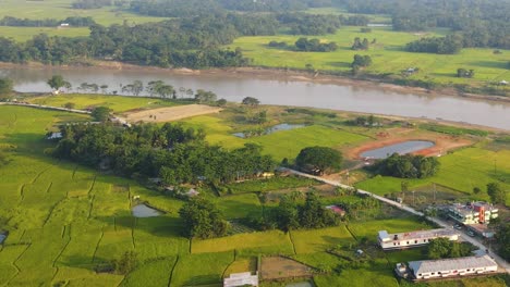 ascending over rice paddy fields surrounding a rural village in sylhet