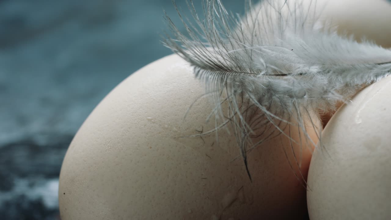 달은 신선하고, 집에서 만들어지고, 고기입니다.