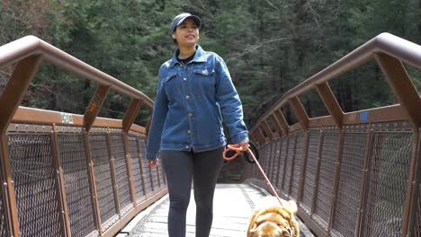 young happy woman walks her dog across metal bridge in upstate new york hiking trail park