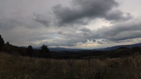 summer carpathians