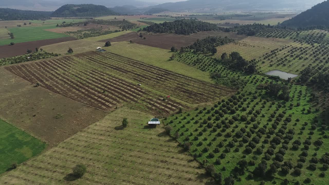 descendiendo sobre un campo verde abierto en mexico