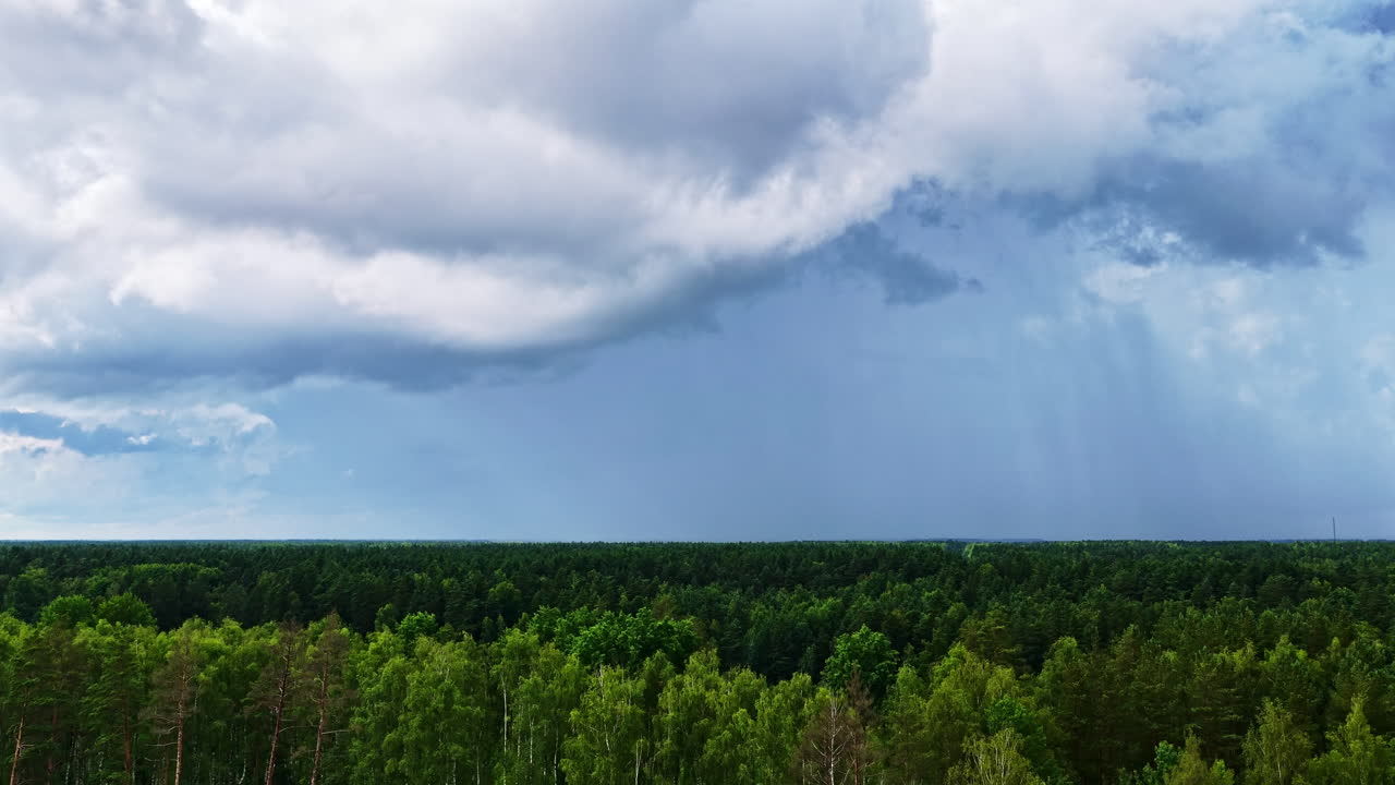 A dramatic aerial shot rises from the forest edge to reveal a vast, endless wilderness landscape with dark storm clouds and a rainstorm approaching in the distance
