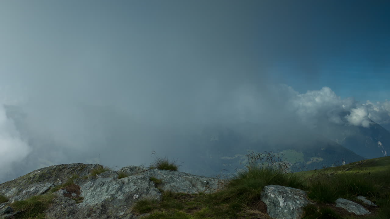 vista de hierba verbier 4k 03