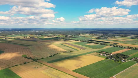 fotografía aérea de un campo agrícola