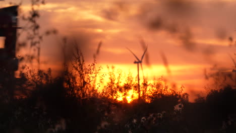 a moving train passes in front of the setting sun, casting a warm glow through the windows