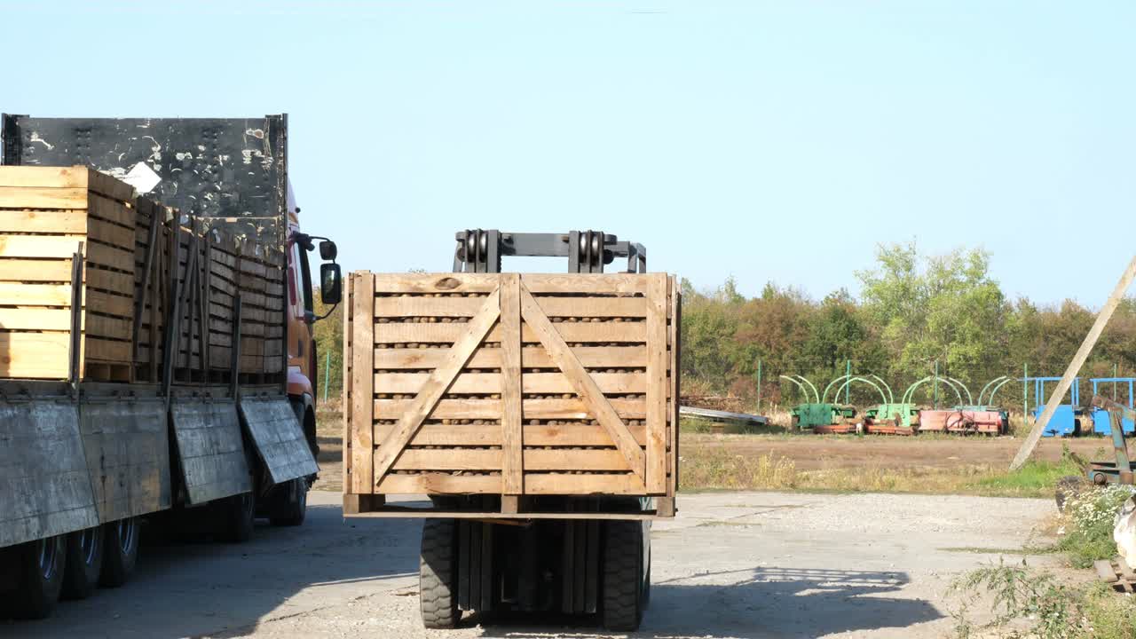 apple harvest. forklift truck unloads truck, full of wooden crates with freshly harvested apples, outdoors. loader transfers boxes of apples to warehouse for storage