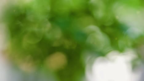 Abstract color background with bokeh motion
