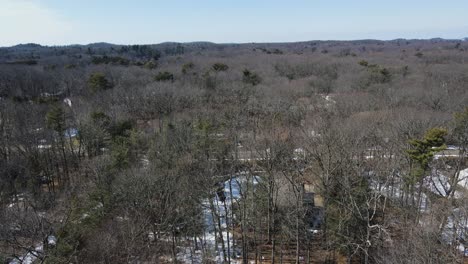 Soft-motion-in-the-early-spring-over-trees