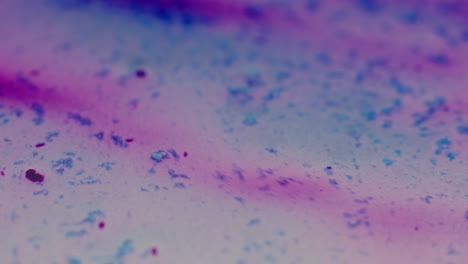 colourful, organic, liquids macro shots buzzing and flowing