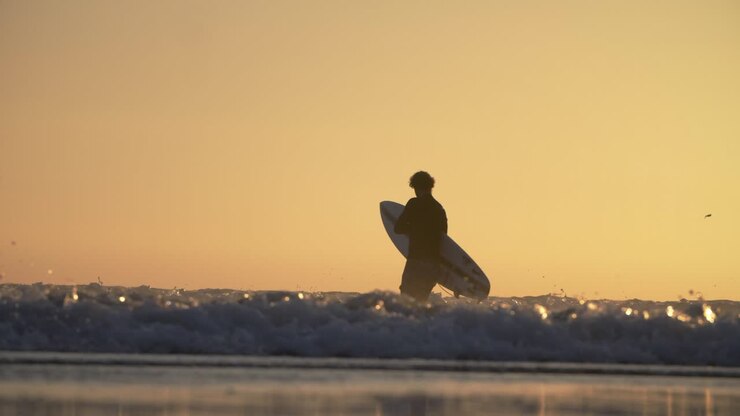 Surfer In The Sea At Venice Beach