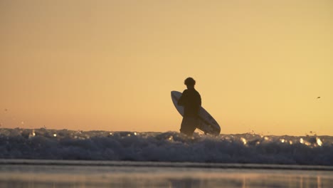 Surfer-In-The-Sea-At-Venice-Beach