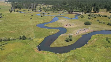 bellissimo fiume in kayak nell'oregon meridionale con il sole splendente visto dalla forma sopra