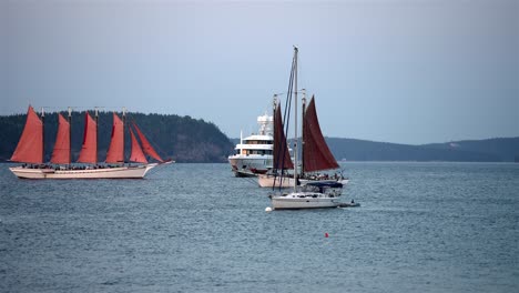 slow motion view of sailboats and commercial ferry transporting people cross paths at entrance of marina