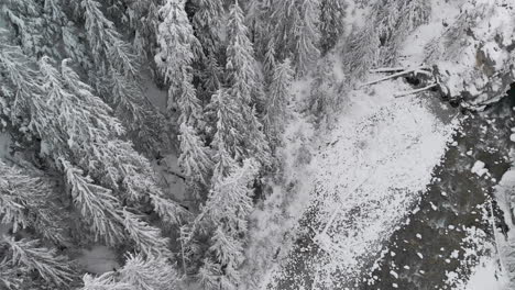 Blick-Hinunter-Auf-Den-Winter-Creek