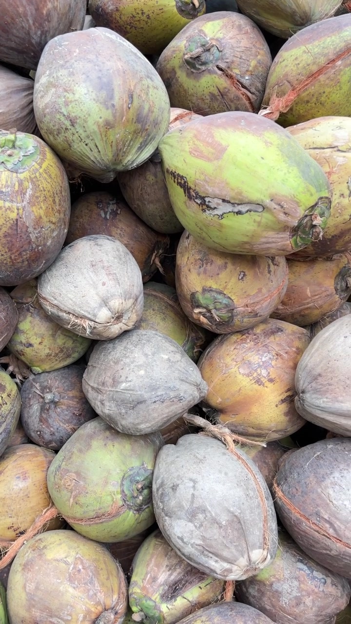 Vista ravvicinata di un grande cumulo di noci di cocco fresche